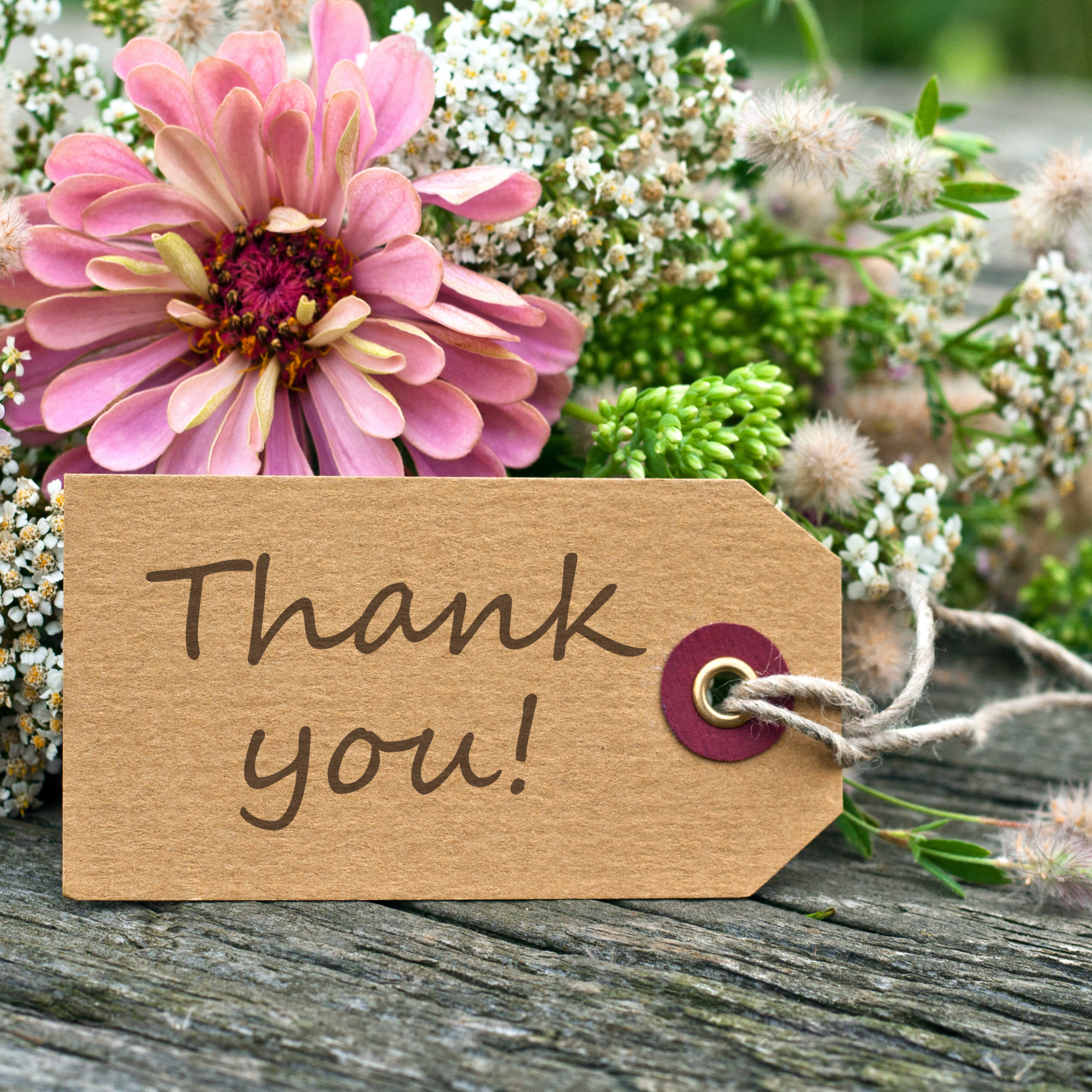 Thank You Collection