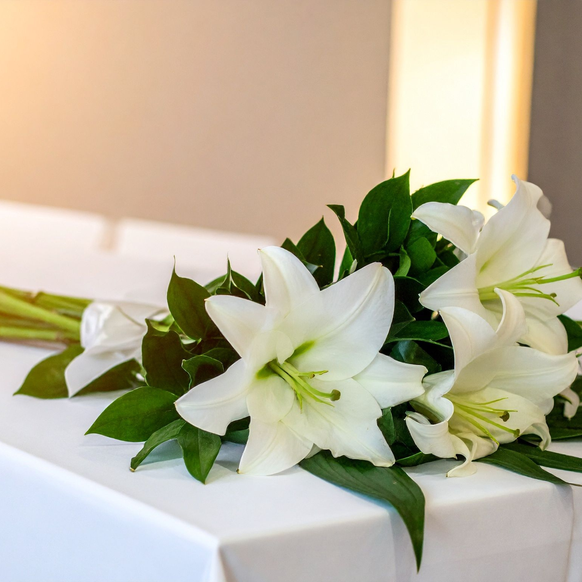 Sympathy Collection