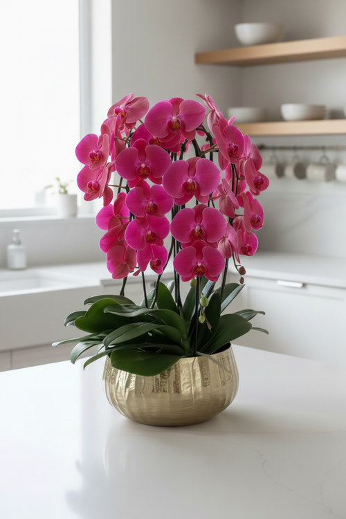 Pink orchid in a gold pot on a kitchen counter