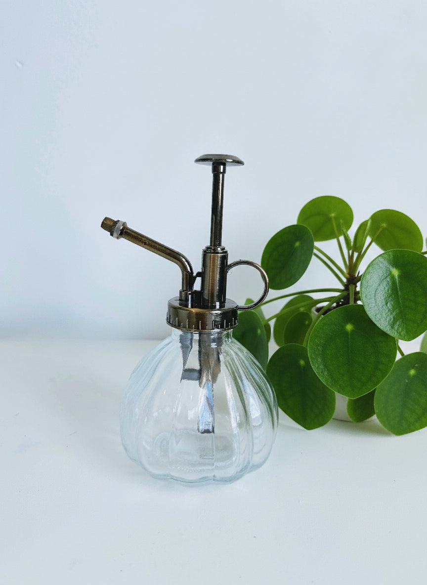 A clear, compact, portable spray bottle designed for delivering a fine mist, with a metallic nozzle and accents.