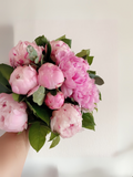 Peony Bloom_Best florist in Oakville_same day Flower delivery_Free local delivery 